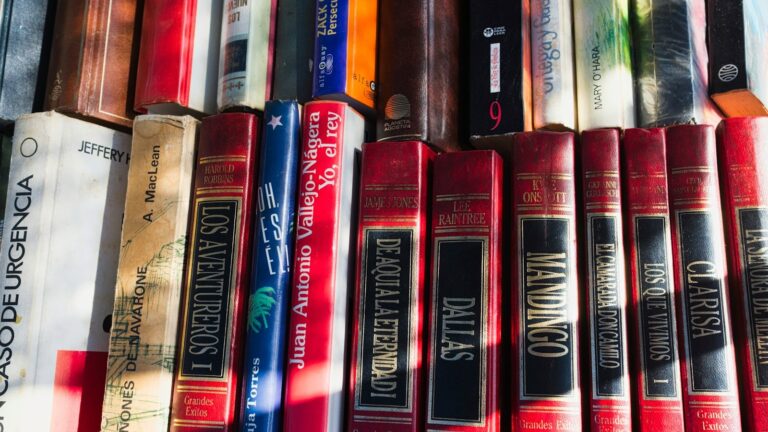 Livros em espanhol em uma estante, representando cursos gratuitos de espanhol online
